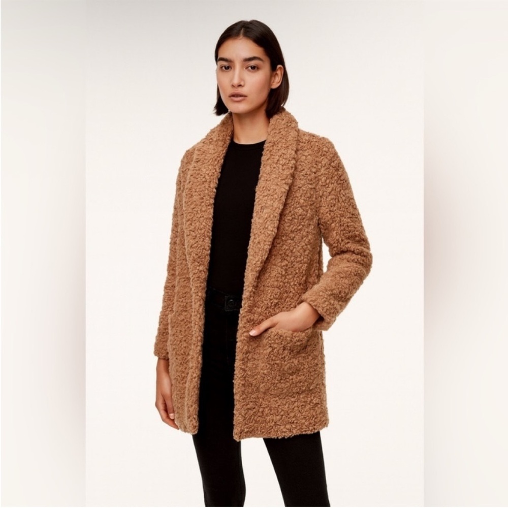 Aritzia Wilfred Free Teddy Coat